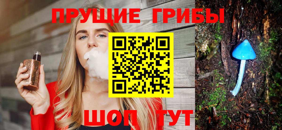 Псилоцибиновые грибы Psilocybe Вышний Волочёк