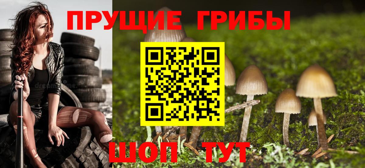 наркошоп  Псилоцибиновые грибы Cubensis  Псилоцибиновые грибы мухоморы  Вход с VPN  Вышний Волочёк 