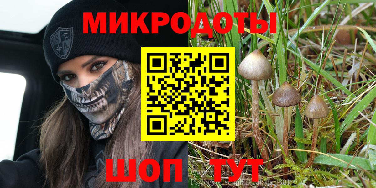 Бошки Шишки Вышний Волочёк